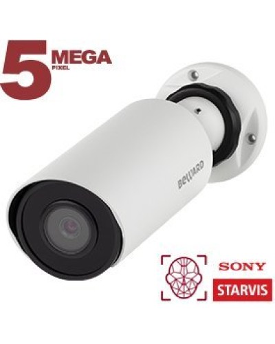 SV3218R2 (2,8мм). Видеокамера IP цилиндрическая. Beward в Нижнем Тагиле