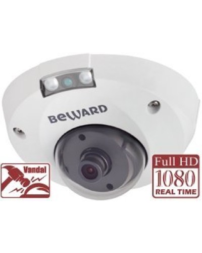 NK55630D8. IP-камера купольная. Beward в Нижнем Тагиле