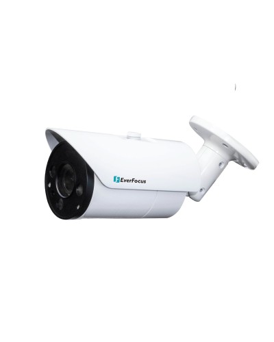 EZN-268V. Видеокамера IP купольная. EverFocus в Нижнем Тагиле