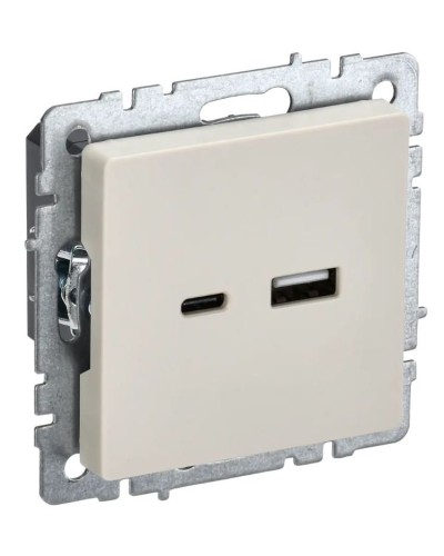 Розетка USB A+C 18Вт РЮ11-1-БрКр бежевый BRITE (BR-U22-018-K10). Розетка USB. IEK в Нижнем Тагиле