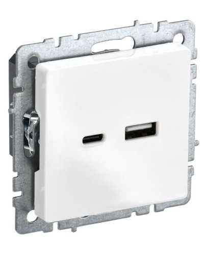 Розетка USB A+C 18Вт РЮ11-1-БрБ белый BRITE (BR-U22-018-K01). Розетка USB. IEK в Нижнем Тагиле