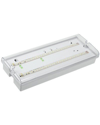 Светильник аварийный ДПА 5042-3 3ч IP65 LIGHTING (LDPA0-5042-3-65-K01). Светильник аварийный универсальный. IEK в Нижнем Тагиле