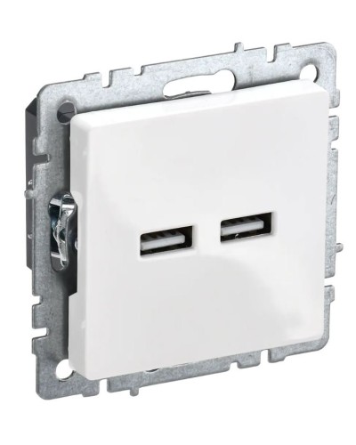 Розетка USB A+A 3,1А РЮ10-1-БрБ белый BRITE (BR-U21-D31-K01). Розетка USB. IEK в Нижнем Тагиле