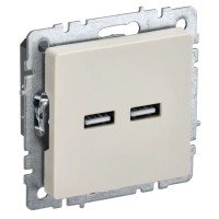 Розетка USB A+A 3,1А РЮ10-1-БрКр бежевый BRITE (BR-U21-D31-K10). Розетка USB. IEK