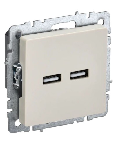 Розетка USB A+A 3,1А РЮ10-1-БрКр бежевый BRITE (BR-U21-D31-K10). Розетка USB. IEK в Нижнем Тагиле