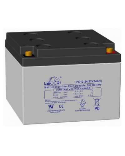 LEOCH LPG 12-24. Аккумулятор герметичный свинцово-кислотный. LEOCH в Нижнем Тагиле