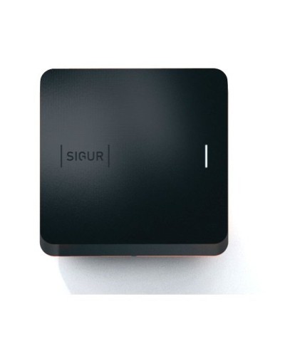 Sigur MR100 Multi. Считыватель. SIGUR в Нижнем Тагиле