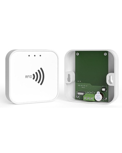 RFID-TM. Считыватель RFID. Ритм в Нижнем Тагиле